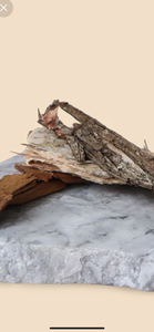 Sandalwood & Cedarwood Room and linen spray